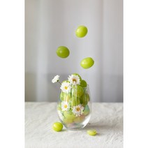 온통과일 미소샤인 프리미엄고당도 망고포도 샤인머스캣 수출용 당도보장 샤인맛집 에어팩포장 칼슘파우더 자연그램
