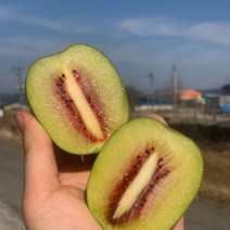 산지직송 청정 제주 국내산 붉은보석 프리미엄 초고당도 24브릭스 루비골드 키위 550g(4과내) 1kg(7과) 2kg(14과내) 4kg(28과내) 5kg(35과내) 제스프리