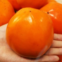 대봉감 대봉감홍시 대봉감 10kg 5kg, 대봉감 5kg 20-25과