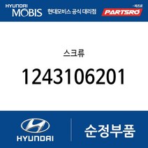 스크류 (1243106201) 아토스 싼타페 티뷰론 투스카니 아반떼XD EF쏘나타 그랜저XG 트라제XG