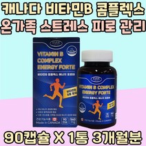 캐나다 비타민B 콤플렉스 온가족 스트레스 피로 관리 스트레스 무기력 시니어 판토텐산 육체피로 체력 소모 보충 비타민 B1 B2 B6 스승의날 Vitamin 비 중년 맞춤영양제 비오틴