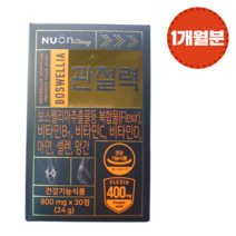 뉴온 보스웰리아 관절 연골 건강 관절력 800mg X 30정 (30일분)