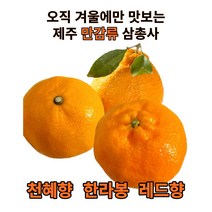 한라봉 햇살담은 제주 한라봉 새콤달콤 <중소><대> 1.5kg 3kg 더나은팜, 한라봉1.5kg중소(5~8과), 1개” class=”wr-img”></a></div>
</div>
</div>
</div>
<div class=