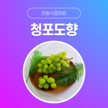 [한솔식품원료] 청포도향 (Greengrape Flavor) (액상 Type) [30g/50g/100g/1kg/5kg/10kg], 50g