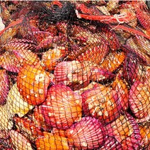 [식품의전당] 캠핑 모듬 가리비 조개구이 조개찜 조개탕 세트 밀키트 2kg 4kg 4인 5 ~ 6인용, 3.활 가리비만 1kg추가