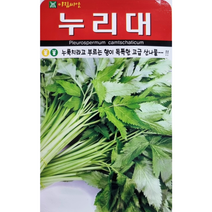 누리대씨앗20립 아람종묘 누룩치라고 불리는 향이 독특한 고급 산나물