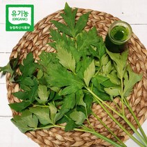 산지직송 신선초 유기농 무농약 녹즙용 1kg, 상세페이지 참조