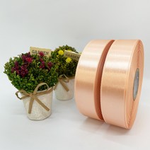 포장 리본 끈 제이제이리본 고밀도주자 45M 2롤 76칼라 (3mm 5mm), 5mm, 조갯살