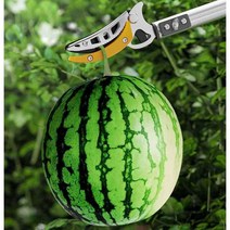 장대 과일 수확기 포도 토마토 따기 가위 집게형 도구, 2.3-4 미터 (톱날포함) + 과일가지 가위