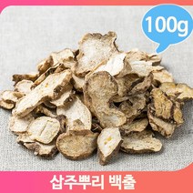 말린 건조 백출 100g 뿌리 삽주 담금주 한방재료 건강