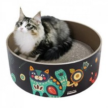 똘복M 스크레쳐 캣닢가루 캣닢쿠션 증정 스크래쳐 기본사이즈 우주 캣용품, DDB_상품선택