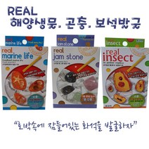 리얼 해양생물 곤충 보석발굴키트, 곤충(극동전갈)