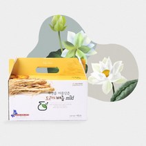 명절선물세트 도라지배즙 배도라지즙 장인어른 생신선물 무첨가 무농약배즙 도라지즙