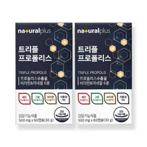 그린프로폴리스 레드프로폴리스 브라운프로폴리스 식물성 츄어블 캡슐 타입 아연 셀렌 식약처인증 건강기능식품, VITAGREEN, / 2개, / 500mg x 60캡슐 /
