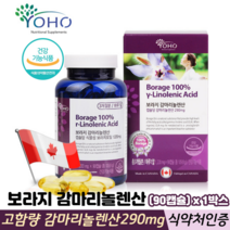 캐나다 감마리놀렌산 여성건강 100% 보라지종자유 혈행 콜레스테롤 개선 식약처인증, 1박스, 90캡슐
