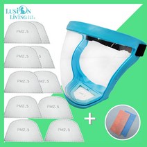 [루시온리빙] 필터형 김서림방지 안면고글 (+필터 10개 +고급 안경닦이) 필터안면고글, 1개, Q 필터형 투명렌즈 [민트]