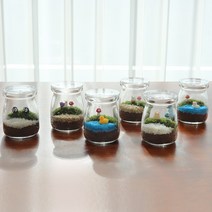 미니 이끼 테라리움 만들기 diy 키트 이끼키우기 테마 6종, 꼬마 얼룩소