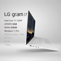 LG전자 2022 그램17(12세대) 17ZD90Q-GX76K [프리미엄 패키지] + 사은품 증정, Win11 Pro, 16GB, 256GB