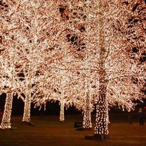 태양광 기능 정원용 크리스마스 전구 (LED웜색/22m) 꾸미기 무드등 전등 알