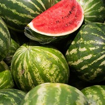 고씨네 특급 수박 4KG 애플수박 무등산수박 망고수박 씨없는수박 설탕수박 노란수박 겨울수박 블랙망고수박, 3kg