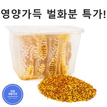 [바른생활건강] 벌화분 비폴렌 순수 100% 첨가물zero 단백질 비타민B 다량함유, 250g x 1통