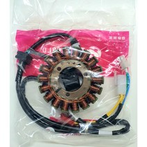 SYM GTS125EVO 제네레타 (OEM) 31120-HTA-000-TW, 1개