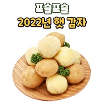 2022년 지금 수확중인 햇 감자, 감자 10kg (중/대 혼합)