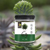 국산 와송 와송환 250g