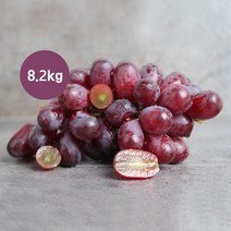 [KT알파쇼핑][총8.2kg] 엠파크 껍찔째 먹는 씨없는 적포도 (8~10봉)
