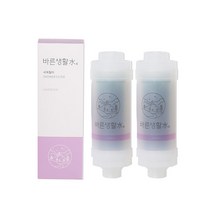바른생활수 녹물 염소 제거 비타민 샤워필터, 2개, 라벤더 블라썸