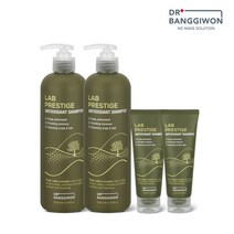 [닥터방기원] 랩프레스티지 샴푸 500mlx2+100mlx2, 단품
