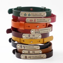 가죽 인식표 강아지 목걸이 고양이 이름표 NEW레더베이직, 기본체, 오렌지