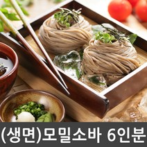 생면 모밀소바 6인분세트 _ 전문점맛 그대로 (생메밀1kg + 모밀소스50g 6개), 1세트, 1kg