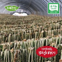 [초록한입] 국내산 유기농 건시래기 500g / 건강즙 증정, 1봉