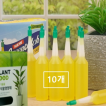 고급 화초 식물영양제35ml-10개 모든식물용 앰플형 난 관엽 분재, 10개