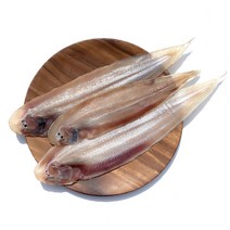 산지직송 군산 반건조박대 31cm 내외 5미, 02 5미(중) 31cm 내외