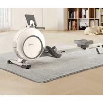 로잉머신 애플워치연동 전신운동 다이어트 헬스기구, )직립 보관 애플워치 연동가능