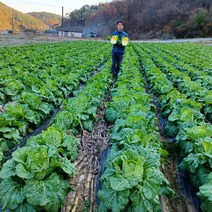 [강원도동강레프팅] 루바브추출물 정 1200 국산 해썹인증 밀크세라마이드 석류착즙 이노시톨 엘라스틴 건조효모 글루타치온 추출분말 비오틴 콜라겐 강원도 인제군 재배 화이트 토마토 수박과피 혼합유산균 여성 남성