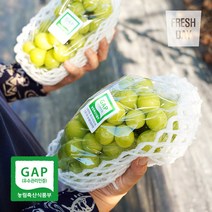 [GAP인증] 안성 고당도 샤인머스켓 망고포도 정품 2kg, 상세페이지 참조, 상세페이지 참조, 상세페이지 참조