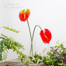 마쉬매리골드 조화 안스리움 가지 70cm, 레드(NA708697)