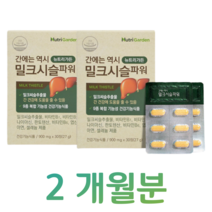 밀크시슬 밀크씨슬 실리마린 간 건강 도움 하루한알 홈쇼핑 프리미엄 영양제 성분 가격 효능 비교 식약처 인정 건강 기능 식품 아버지 아빠 할아버지 간 건강 케어, 1박스, 900mg x 60정 (하루 1정)