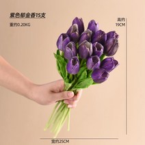 유리화병 마옥 노르딕 촉감 튤립 모조꽃 빔 인조 응접실이 있다 식탁 기예 장식 A스윙 설치함 2837173252, 보라색 튤립 15 즈 꼭지 소액 지폐