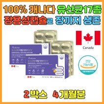 캐나다직수입 500억 투입 생유산균 프롤린 장내유익균 변이딱딱할때 장운동에 장에좋은음식 50대 60대 70대 약국유산균 추천 배에가스차는이유 장건강 잦은방귀에 유산균효능 성장기 어린이 키즈 하루섭취량 함유