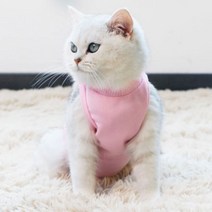 소프트 고양이 환묘복, 옐로