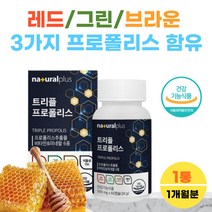 식약처 식약청 신고 레드 그린 브라운 프로폴리스 플라보노이드 아연 구강 코스트코 영양제 1통 비타민 A B D 자일리톨 항산화작용 목관리 잔기침 환절기 BEE PROPOLIS 폴리 폴리스 풀리스 폴라 보노이드 셀레늄 셀래늄