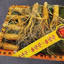 [풍기인삼] 6년근 선물세트(중) 750g(11~13뿌리), 선물세트(중) 750g(11~13뿌리)x1세트
