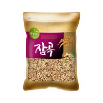 현대농산 렌틸콩 귀리혼합 20곡 5kg 혼합곡, 1개