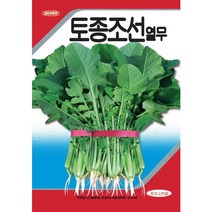 (씨앗) 토종조선열무 - 맛있는 토종 열무 품종 씨앗 종자 - 25g