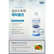 살균소독제 Epiclean(에피클린) 1L, 6, 6개
