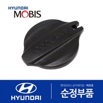 올뉴 카니발 (YP) 순정 냉각수통 캡 뚜껑 (리저버탱크 부동액통)